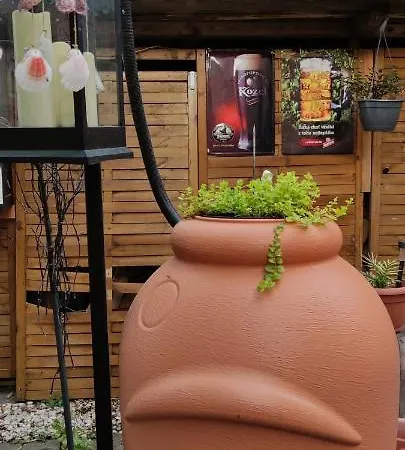 ゲストハウス Libertas マリアーンスケー・ラーズニェ