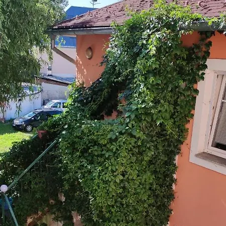 Guest house Libertas 4*