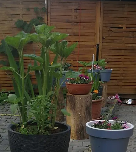 Libertas Гостевой дом